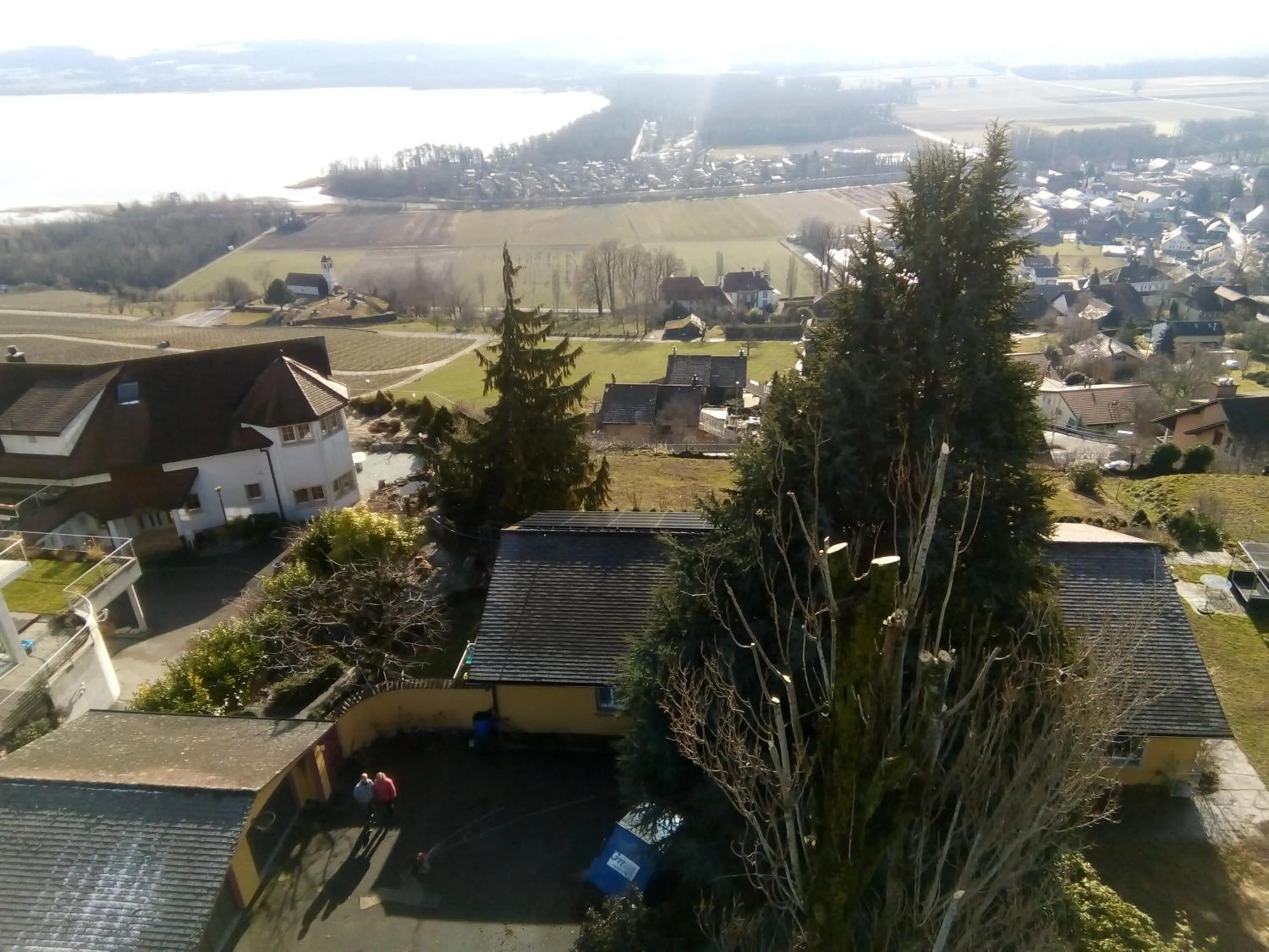 Property building in Swiss Borzoi House