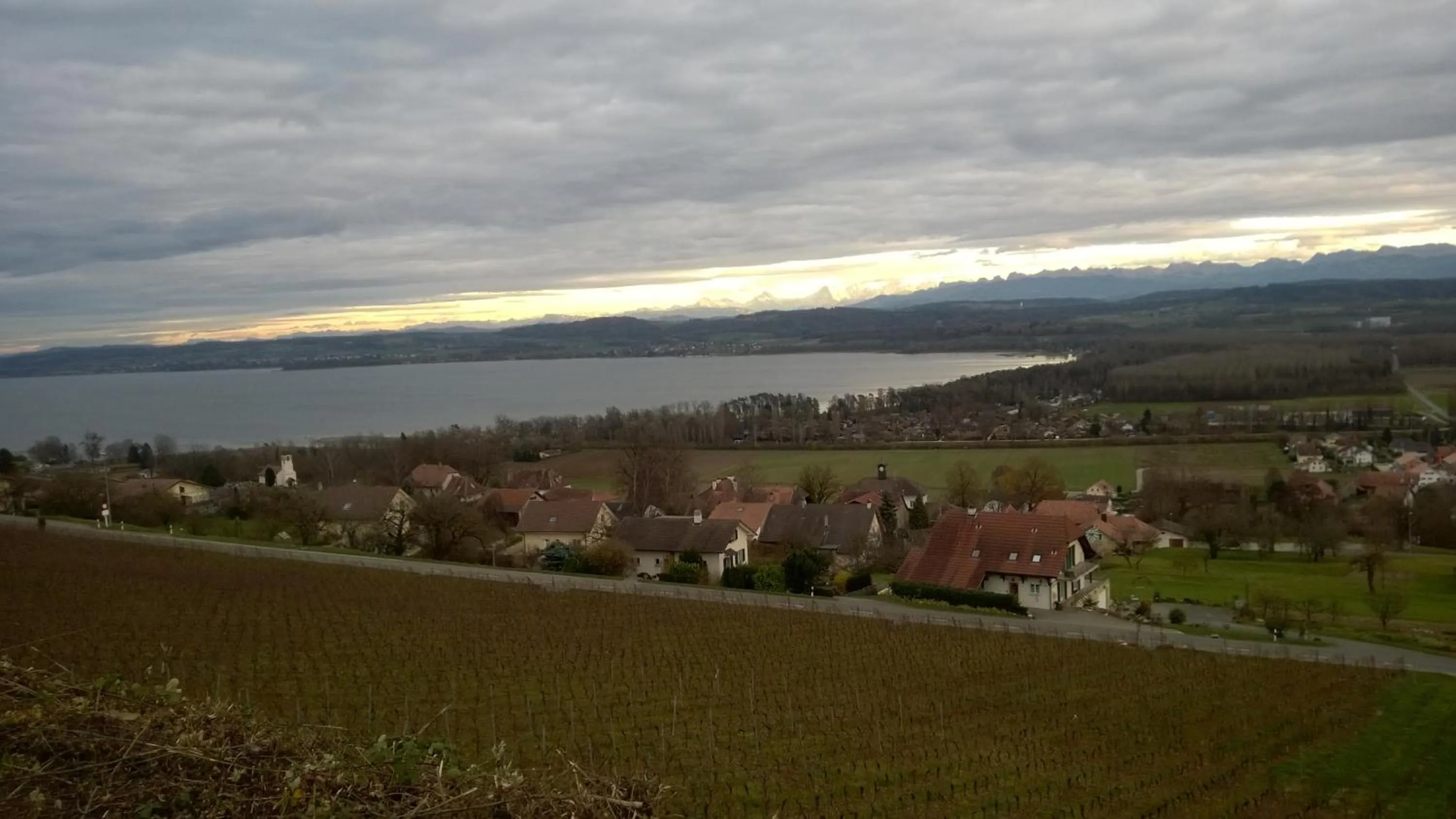 Off site in Swiss Borzoi House