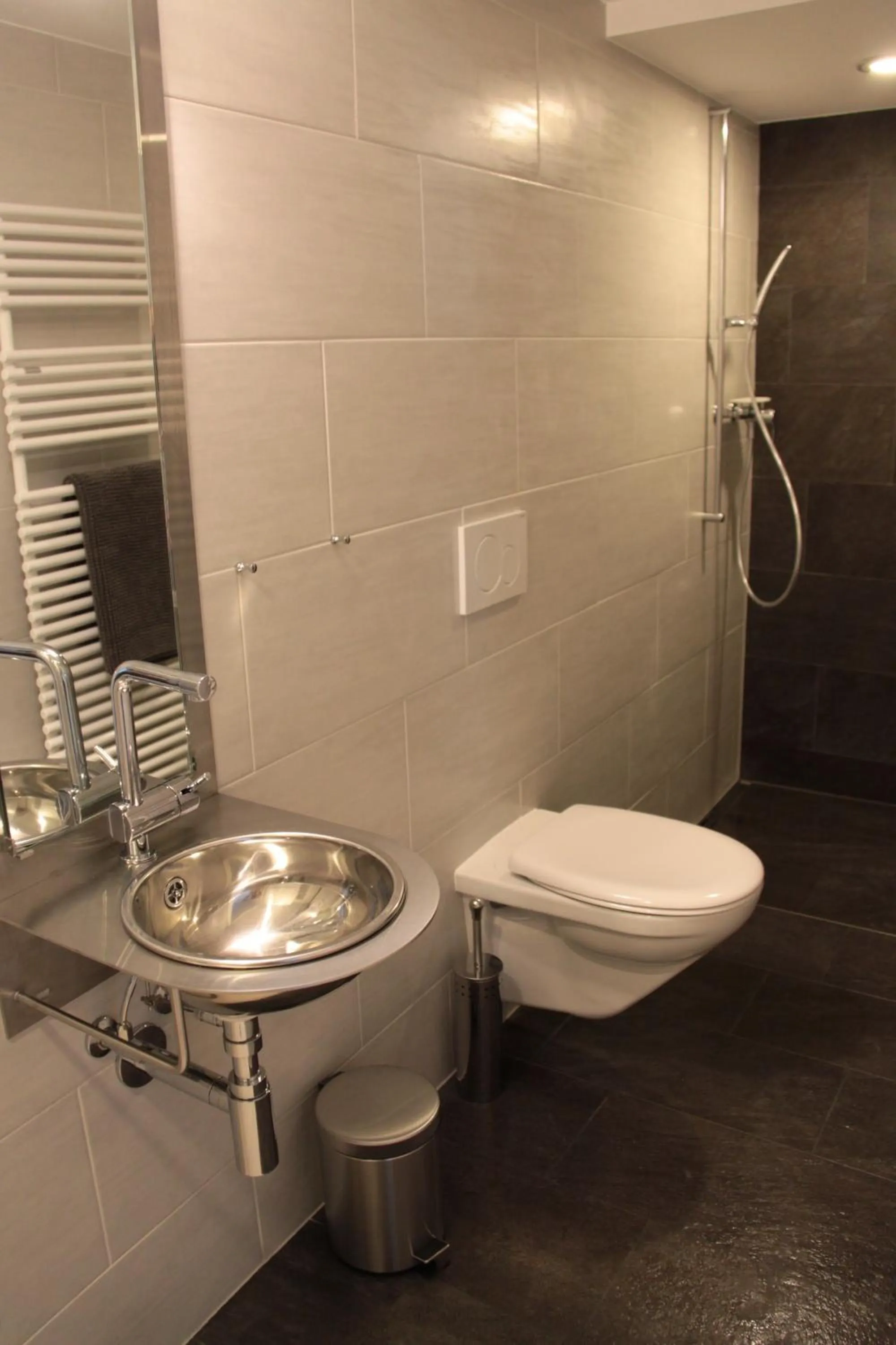 Shower in Swiss Borzoi House