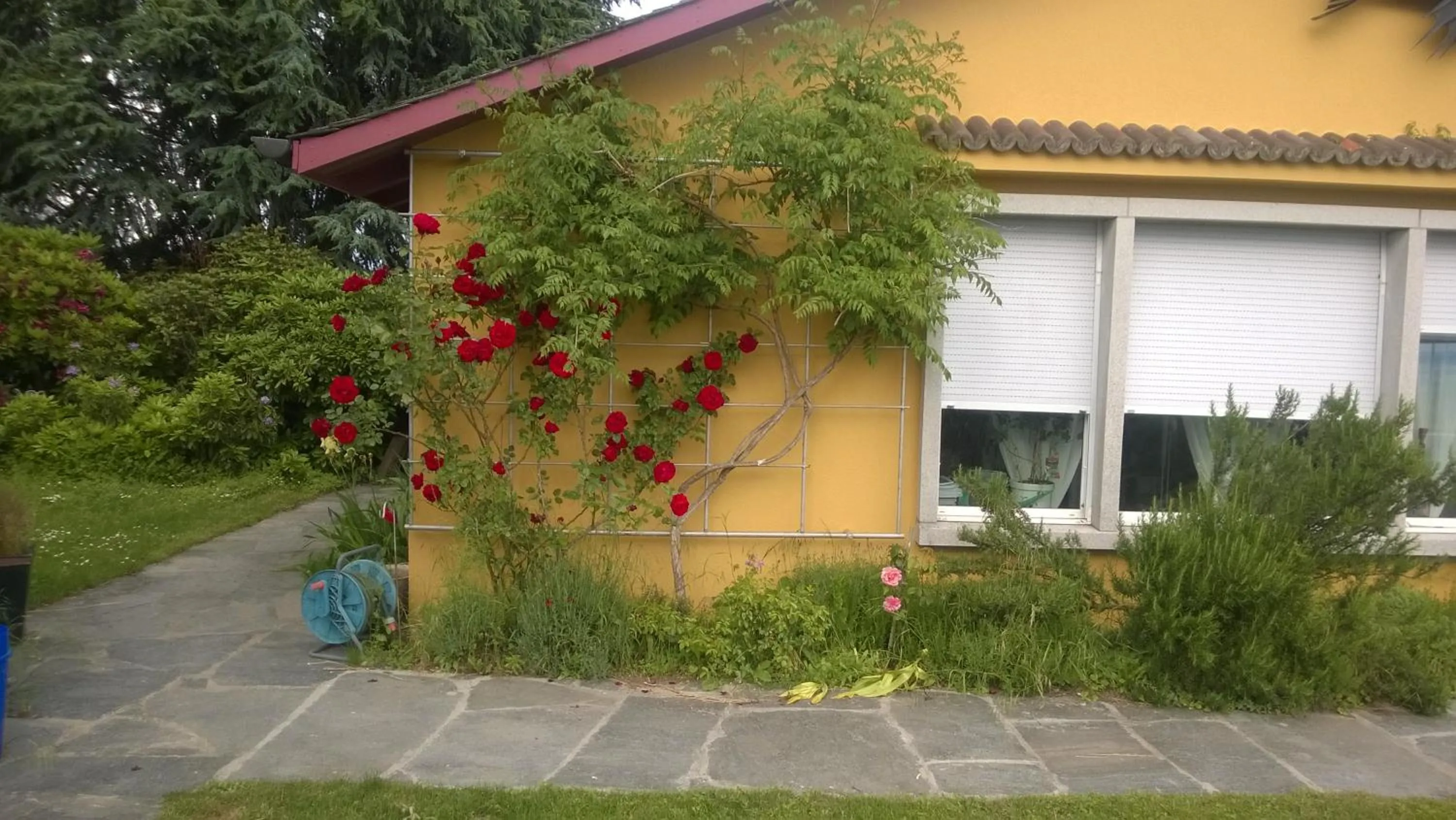 Property building in Swiss Borzoi House