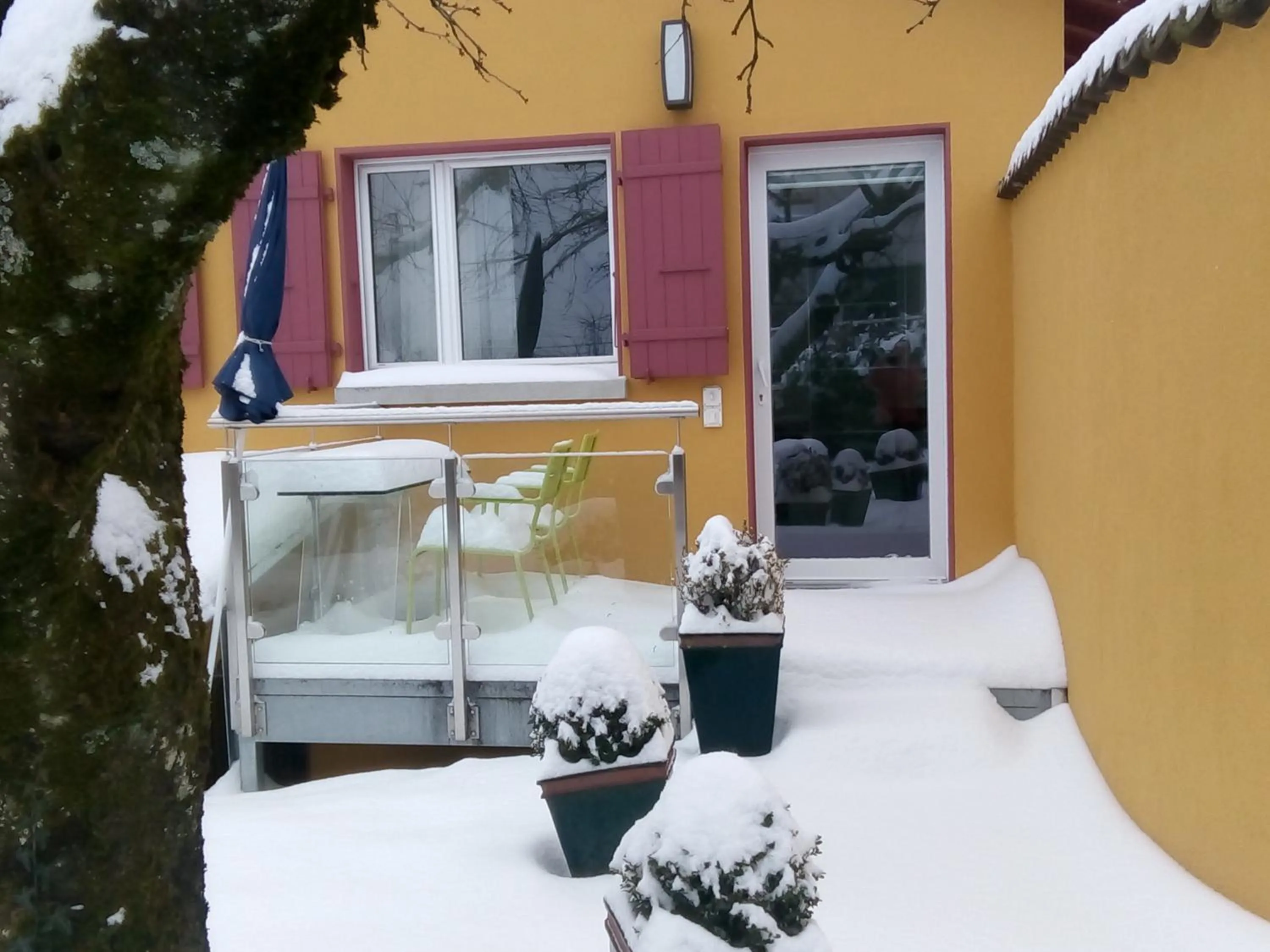 Facade/entrance in Swiss Borzoi House