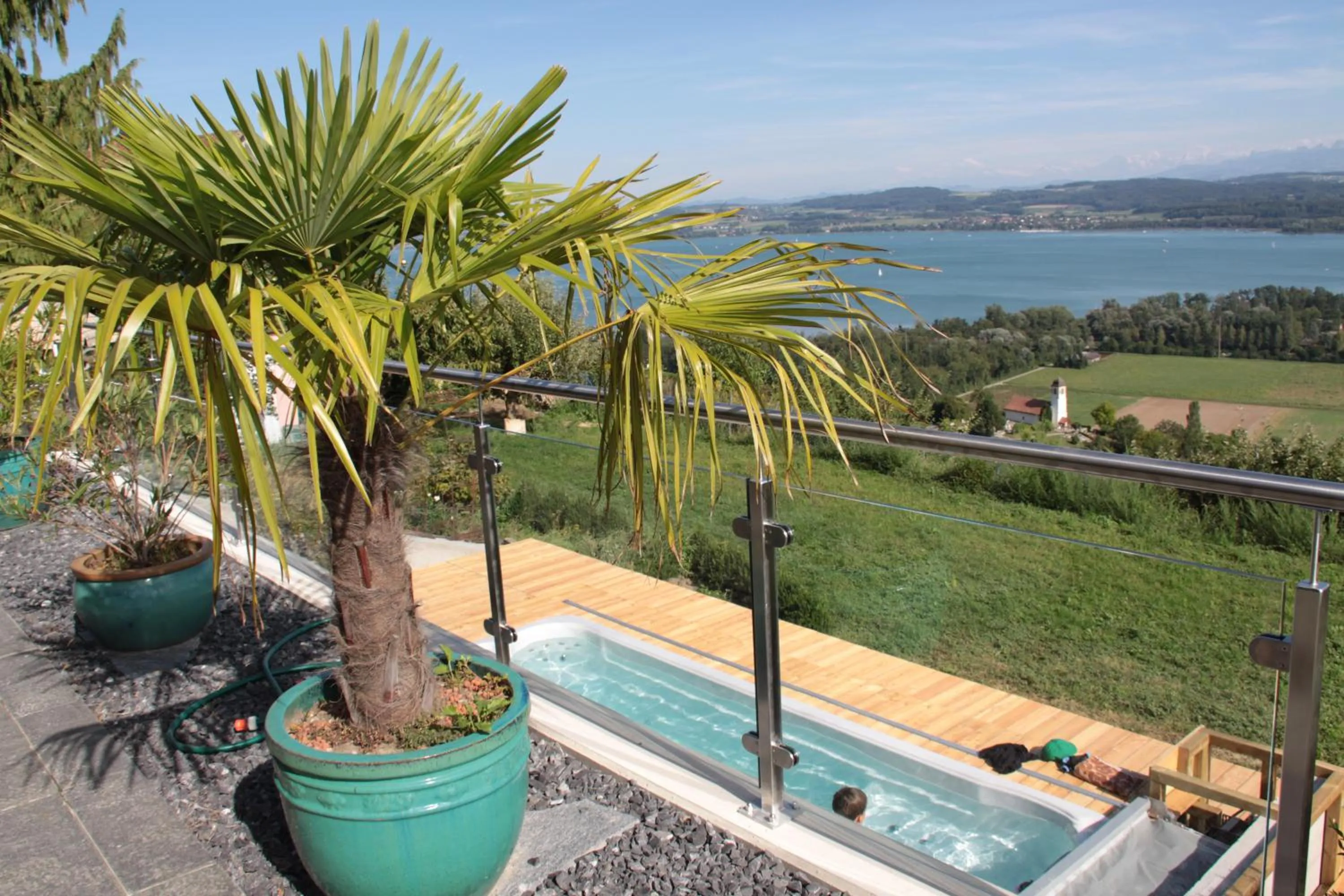 Garden in Swiss Borzoi House