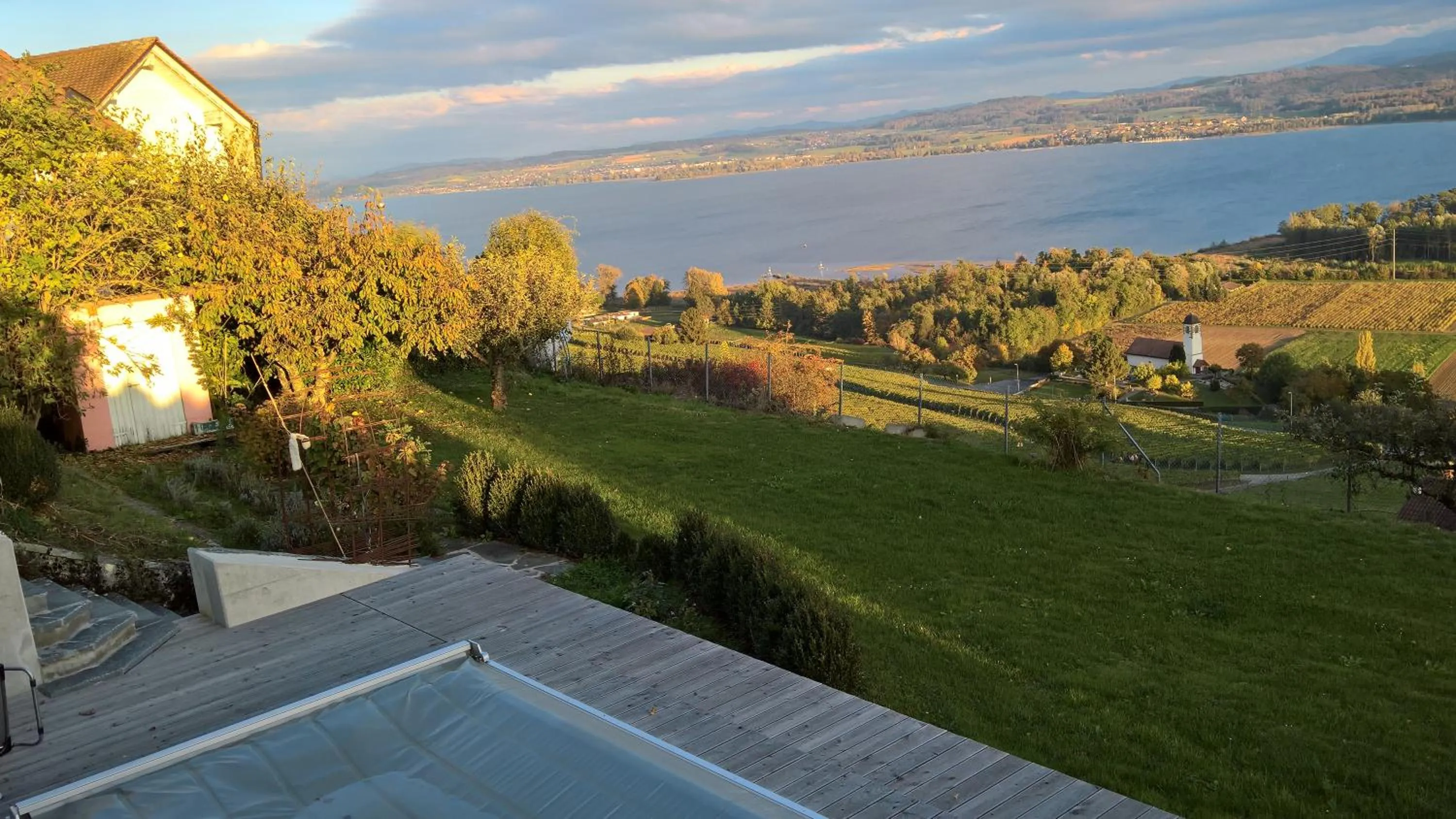Winter in Swiss Borzoi House