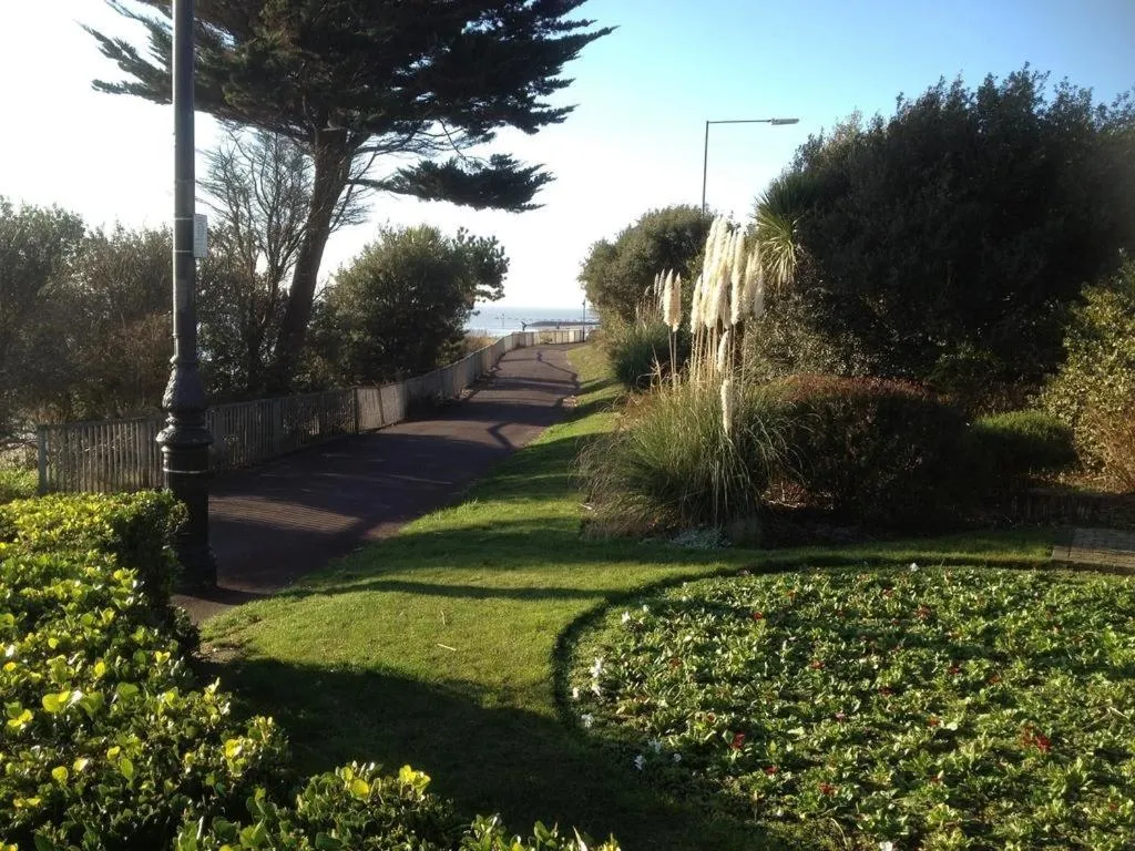 View (from property/room) in The Beeches