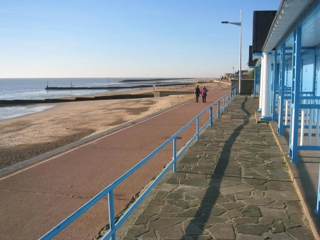 Activities in The Beeches