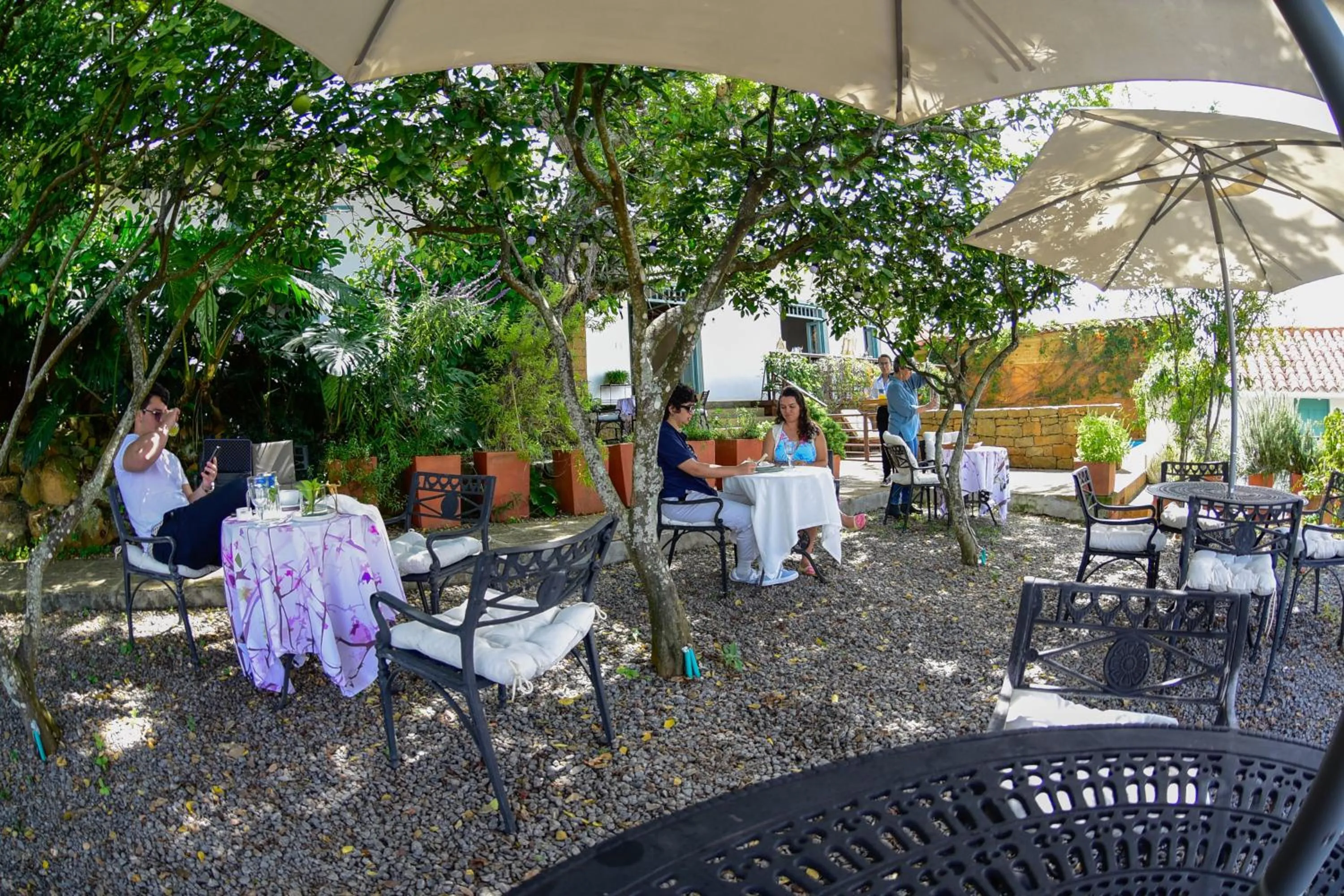 Garden view in Casa Barichara Boutique