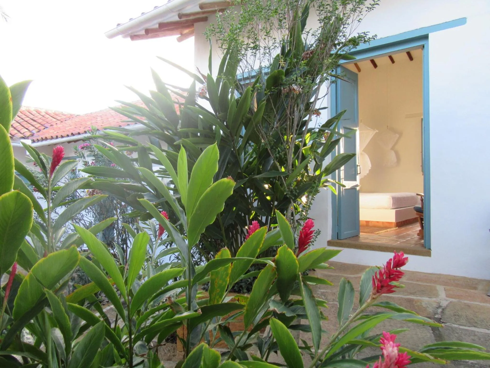 Garden in Casa Barichara Boutique