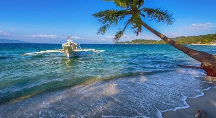 Tamaraw Beach Resort