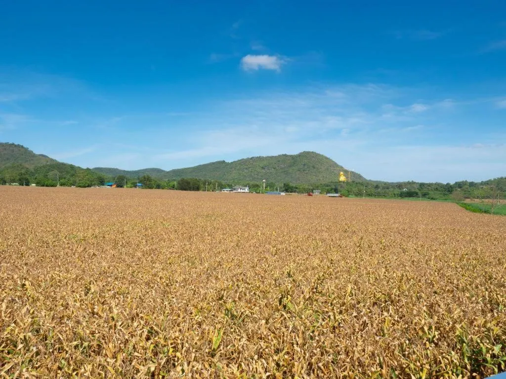 Baan Tem Jai Khao Yai