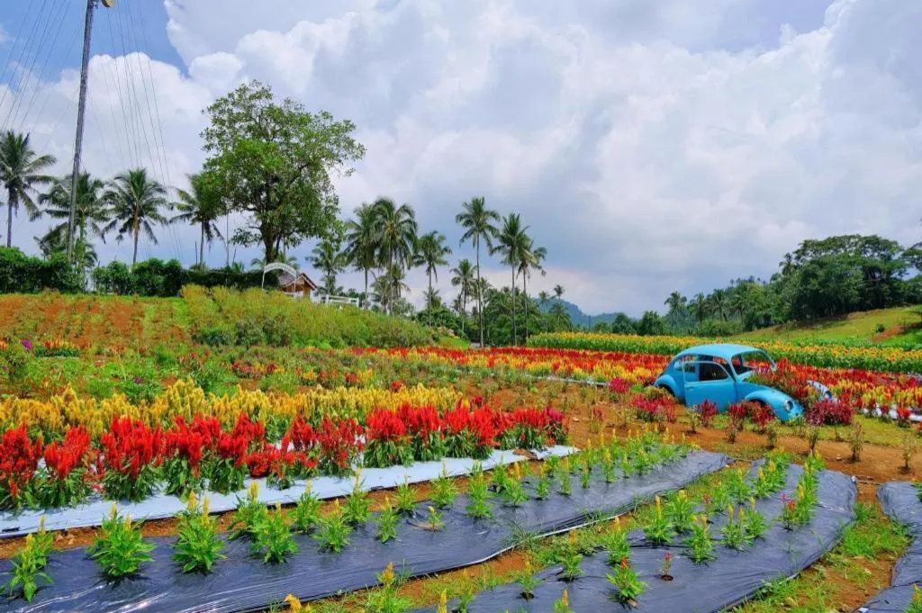 Batis Aramin Resort And Hotel Corp.