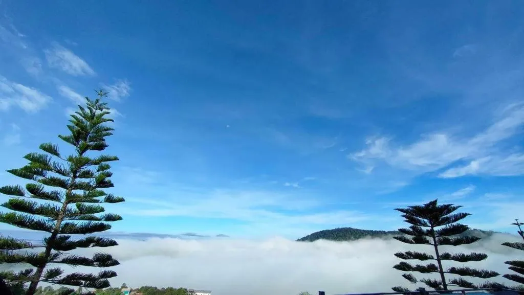 180 All Day All Season