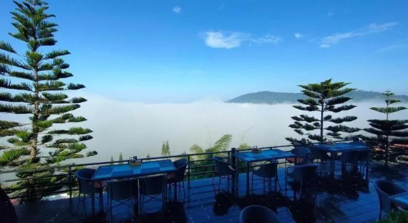 180 All Day All Season