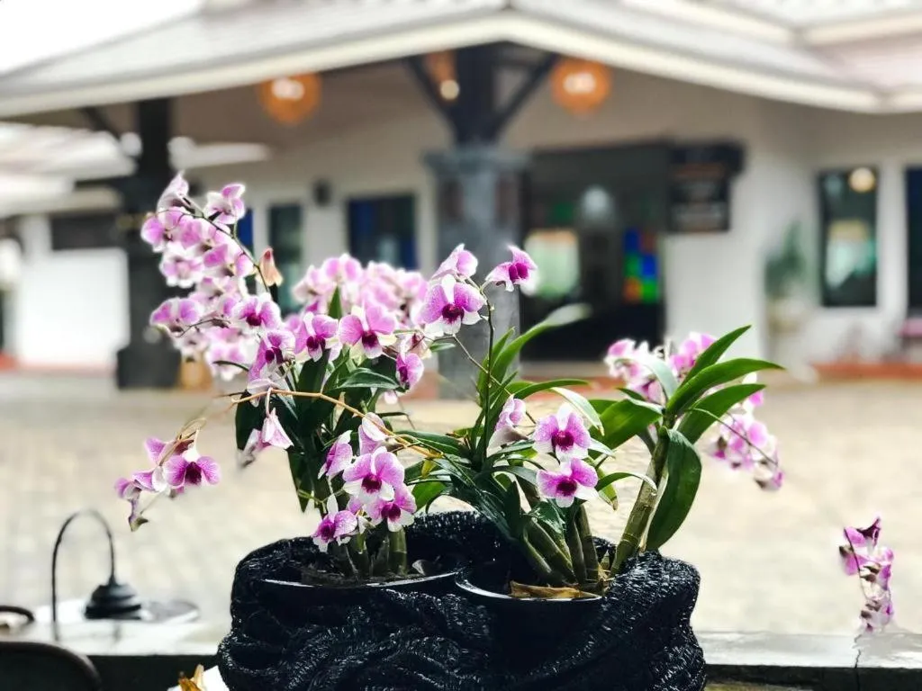 Kornwat Garden Resort