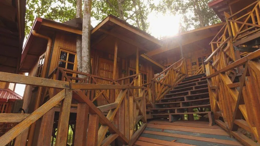 Borneo Tree House