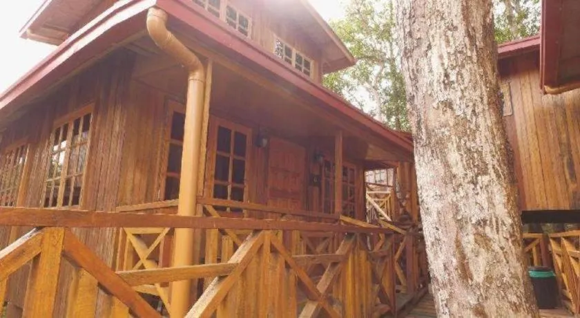 Borneo Tree House