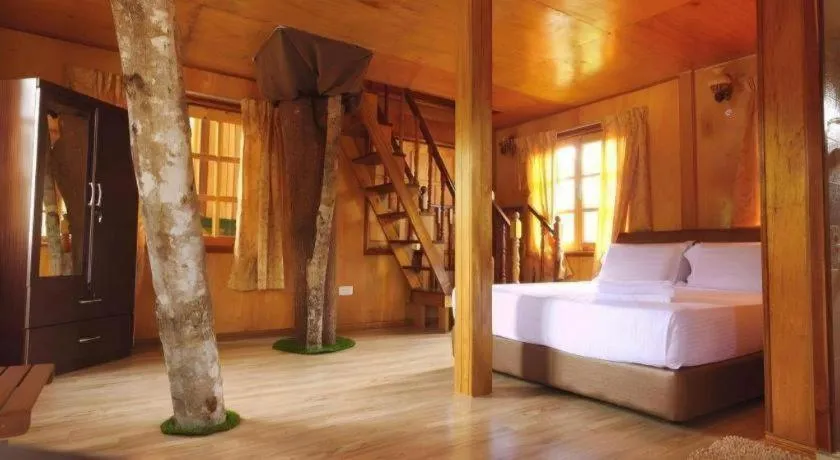 Bed in Borneo Tree House