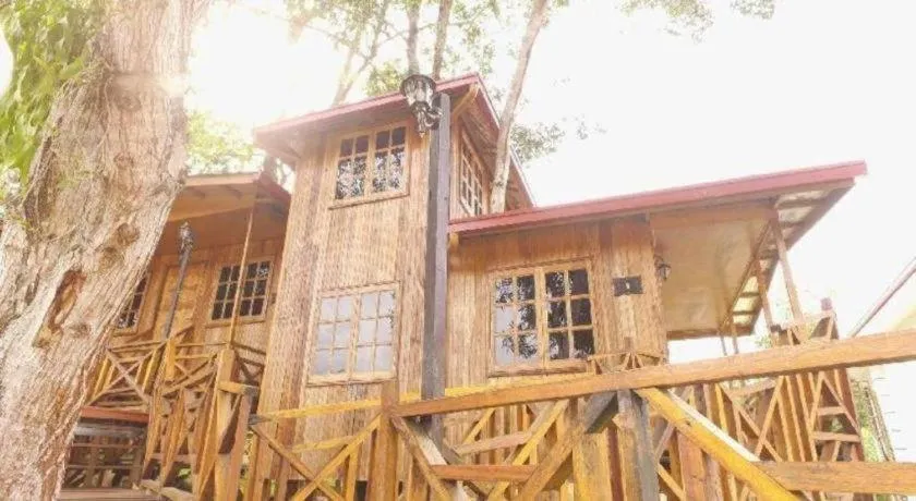 Borneo Tree House