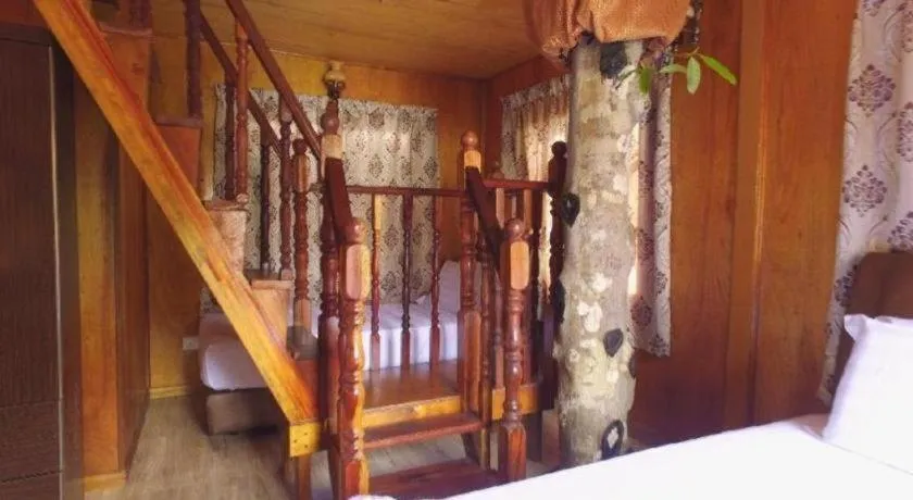 Bed in Borneo Tree House