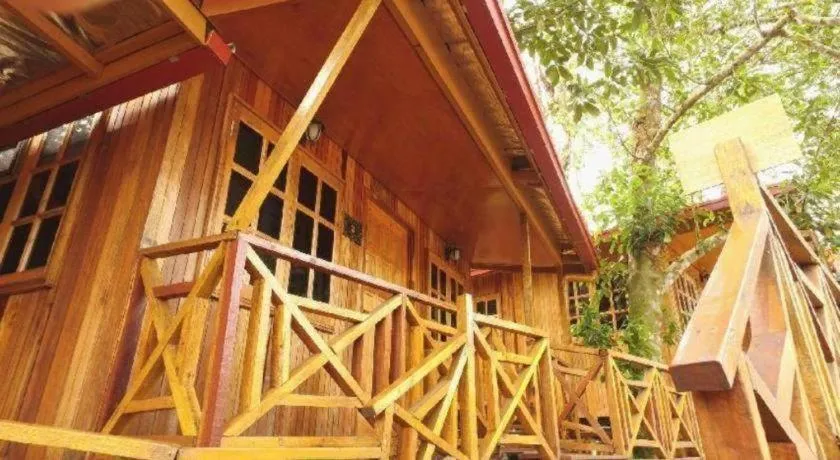 Borneo Tree House