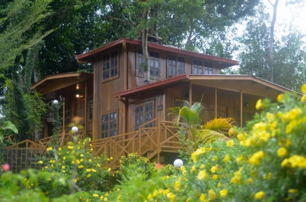 Borneo Tree House