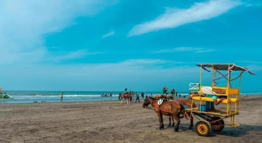 SpicyMango Dream Paradise Hotel & Villa