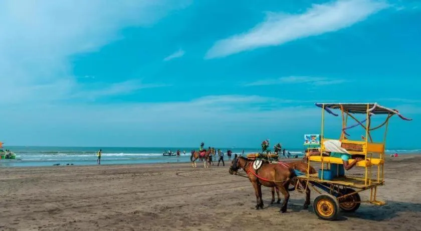 SpicyMango Dream Paradise Hotel & Villa