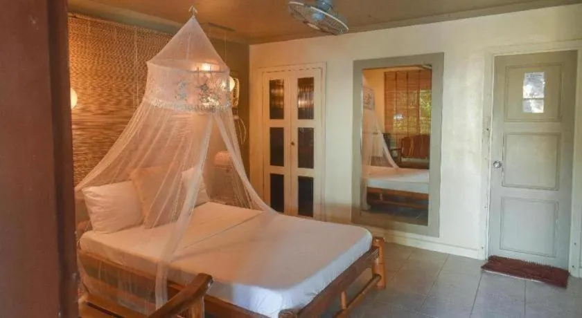 Bed in Summer Connection