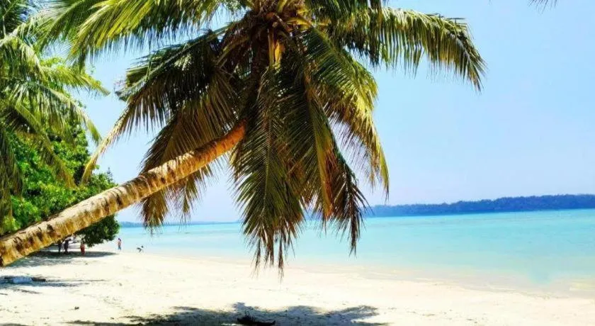 Sangri Las Beach Resort-Havelock Island