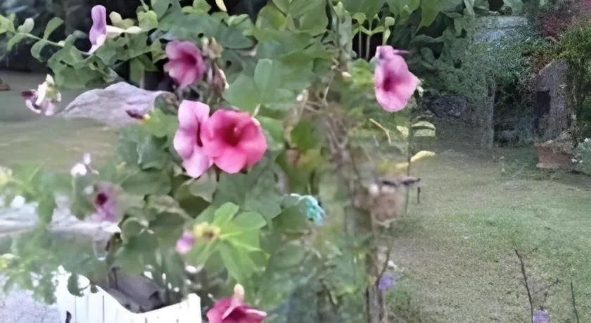 Chiangkhan Greenview Resort