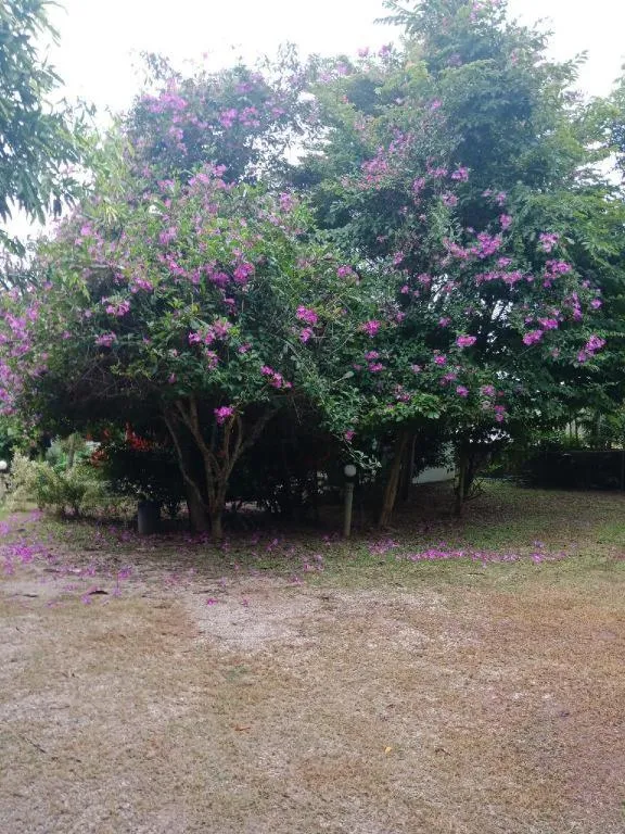 Chiangkhan Greenview Resort