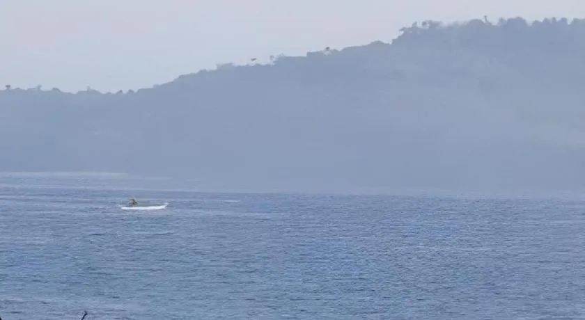 Anahaw Island View Resort