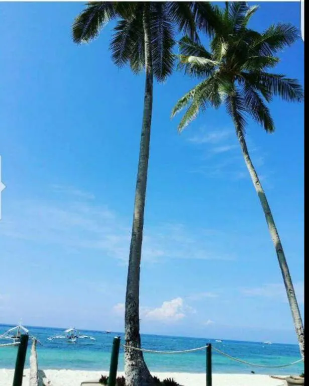 Blue Ocean Bohol Beachfront