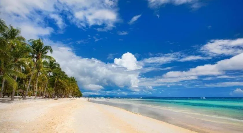 Blue Ocean Bohol Beachfront