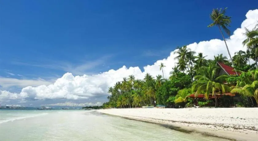 Blue Ocean Bohol Beachfront
