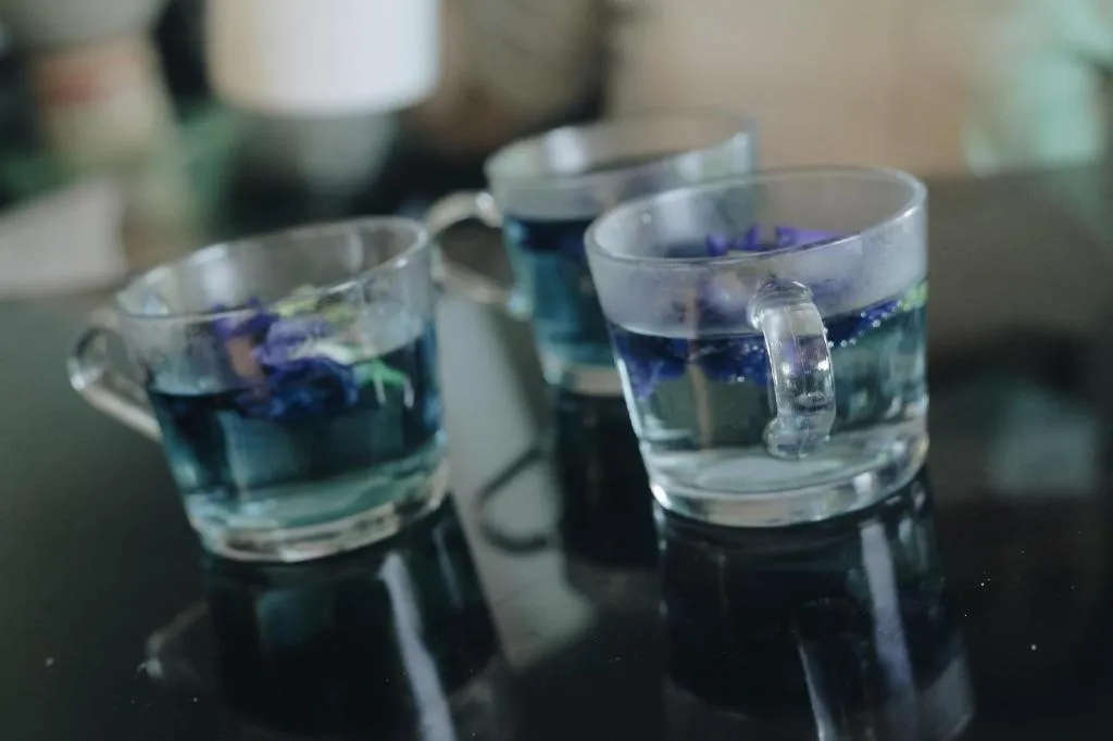 Treasure Trove Resort