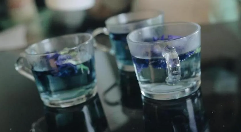 Treasure Trove Resort