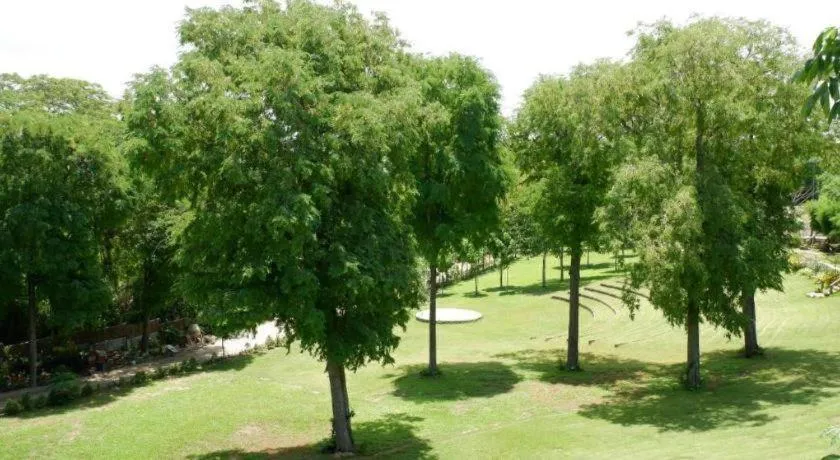 Treasure Trove Resort