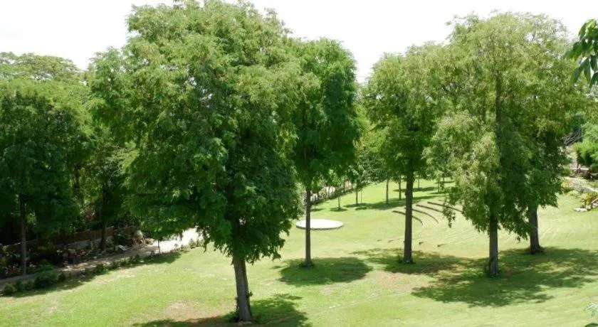 Treasure Trove Resort