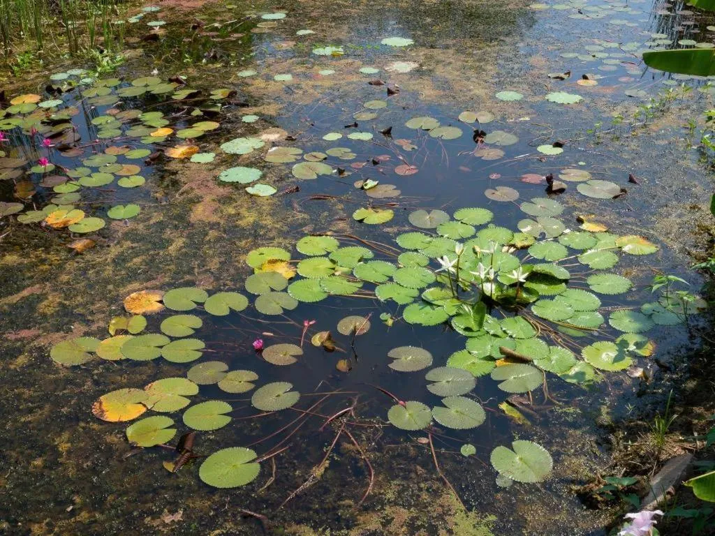 Chiw Rim Chon Resort Pak Chong