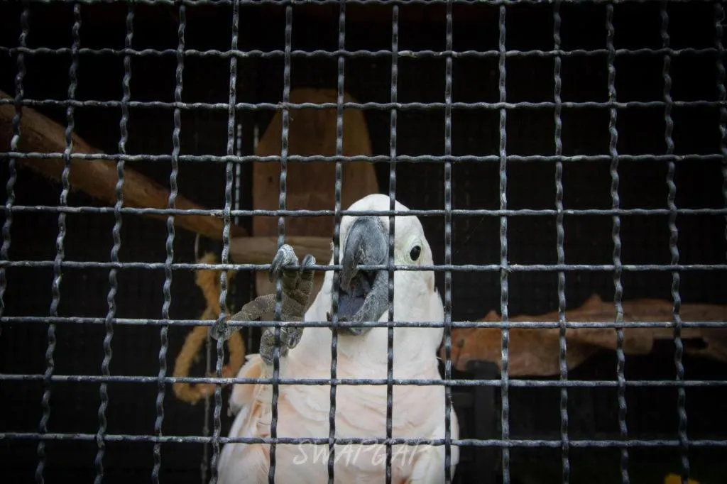 Fantasy Resort Chainat