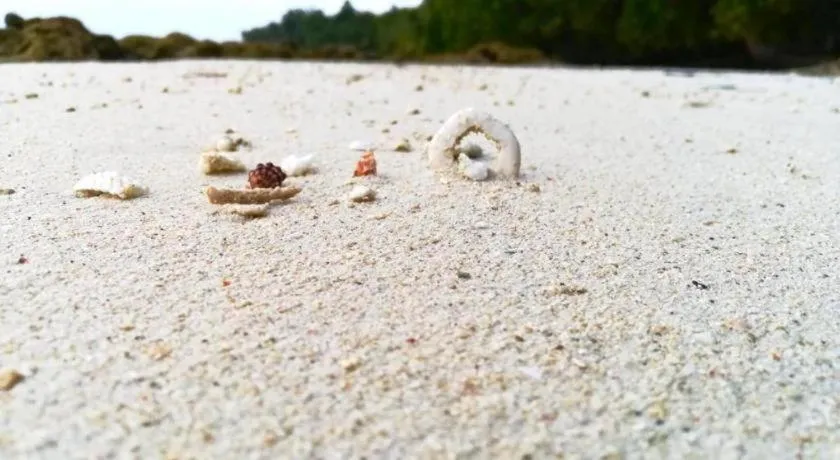 Green Valley Resort-Havelock Island