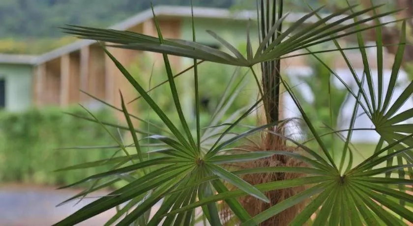 Curve360 Hotel Khao Yai