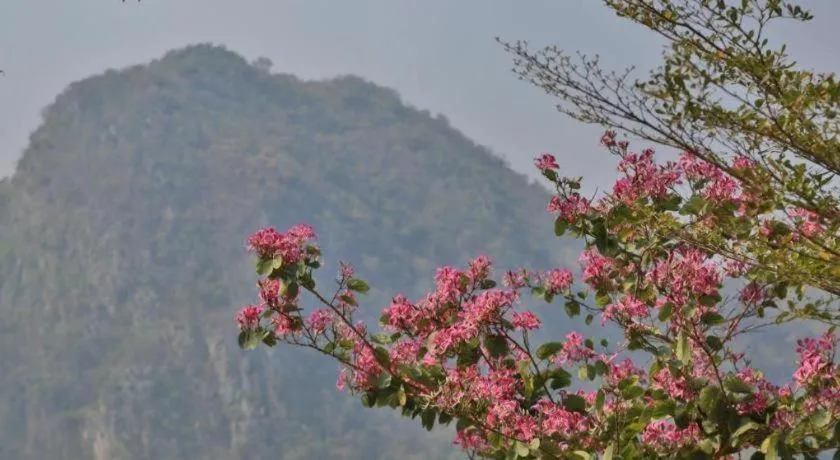 Curve360 Hotel Khao Yai