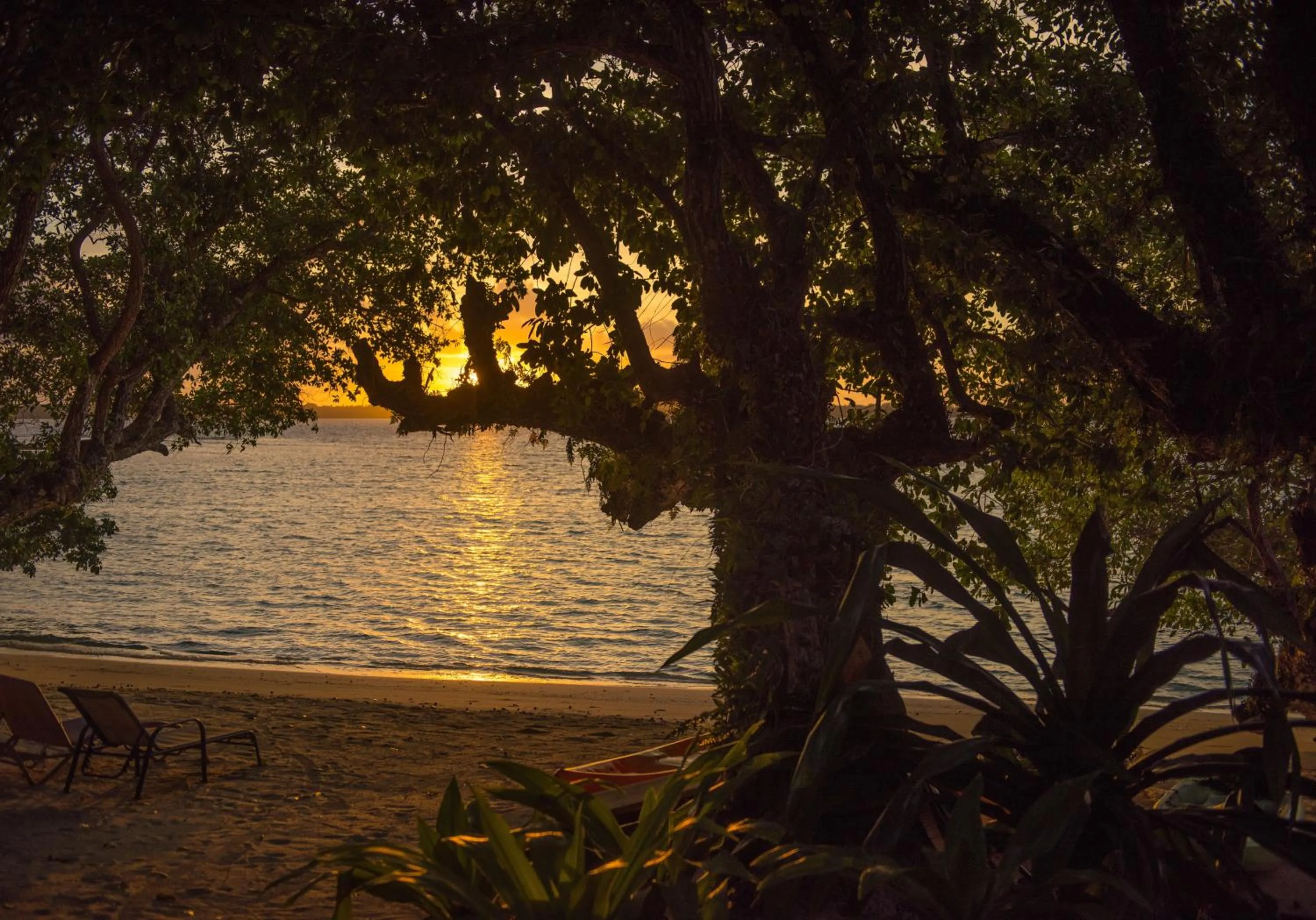 Sea view in Barrier Beach Resort