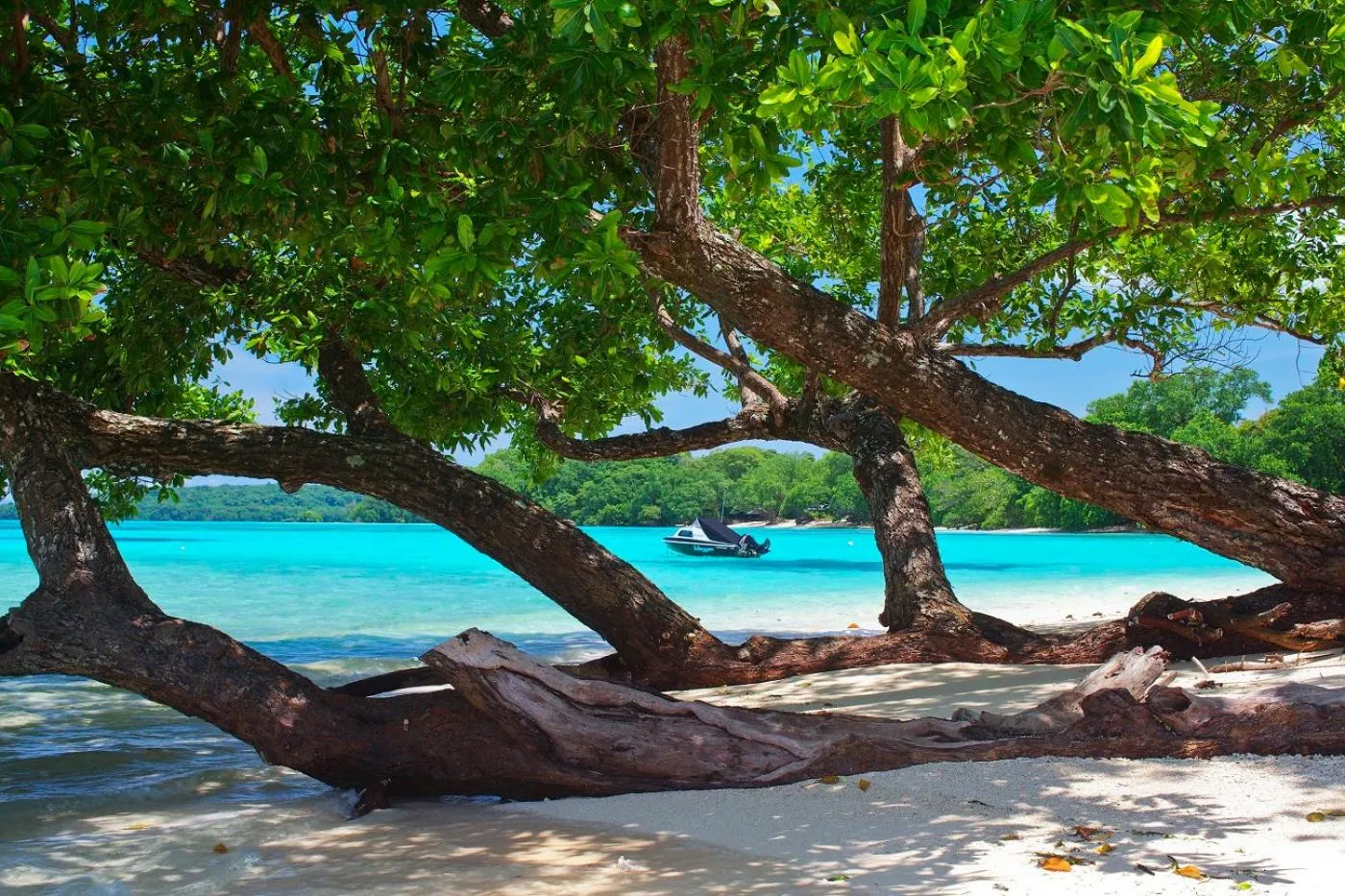 Beach in Barrier Beach Resort