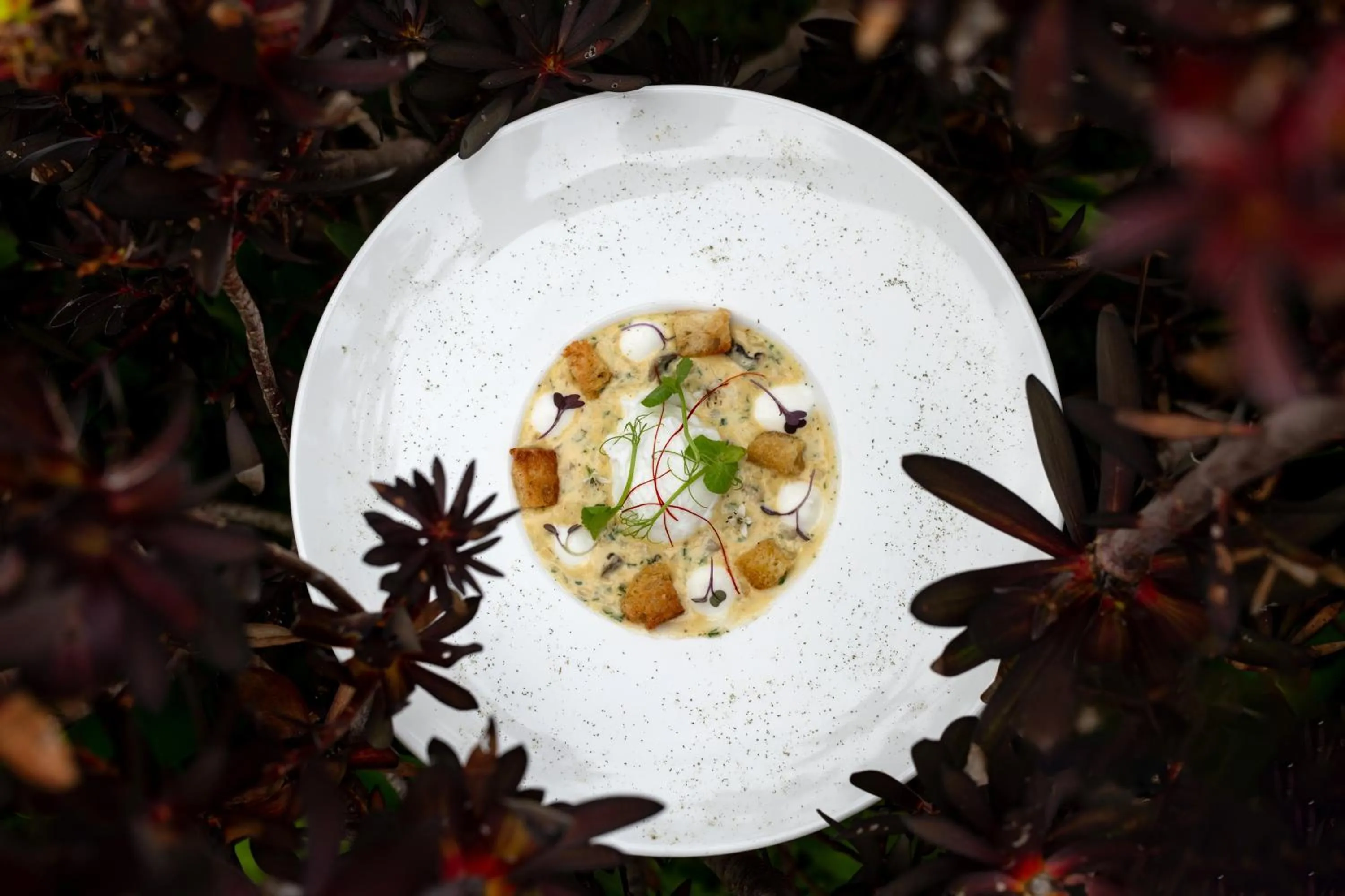 Food in The Marine Hermanus