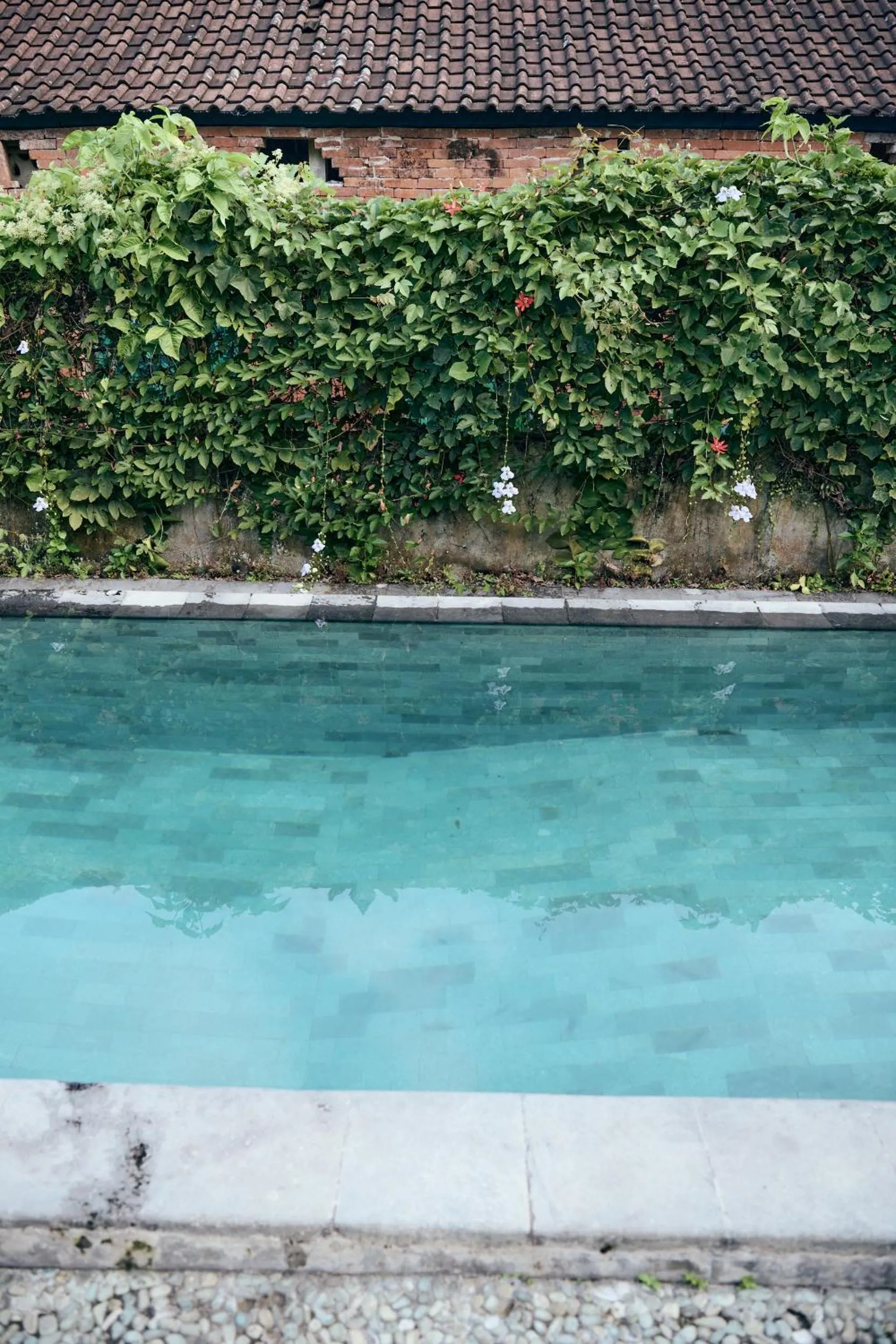 Swimming pool in Lembah Sentosa