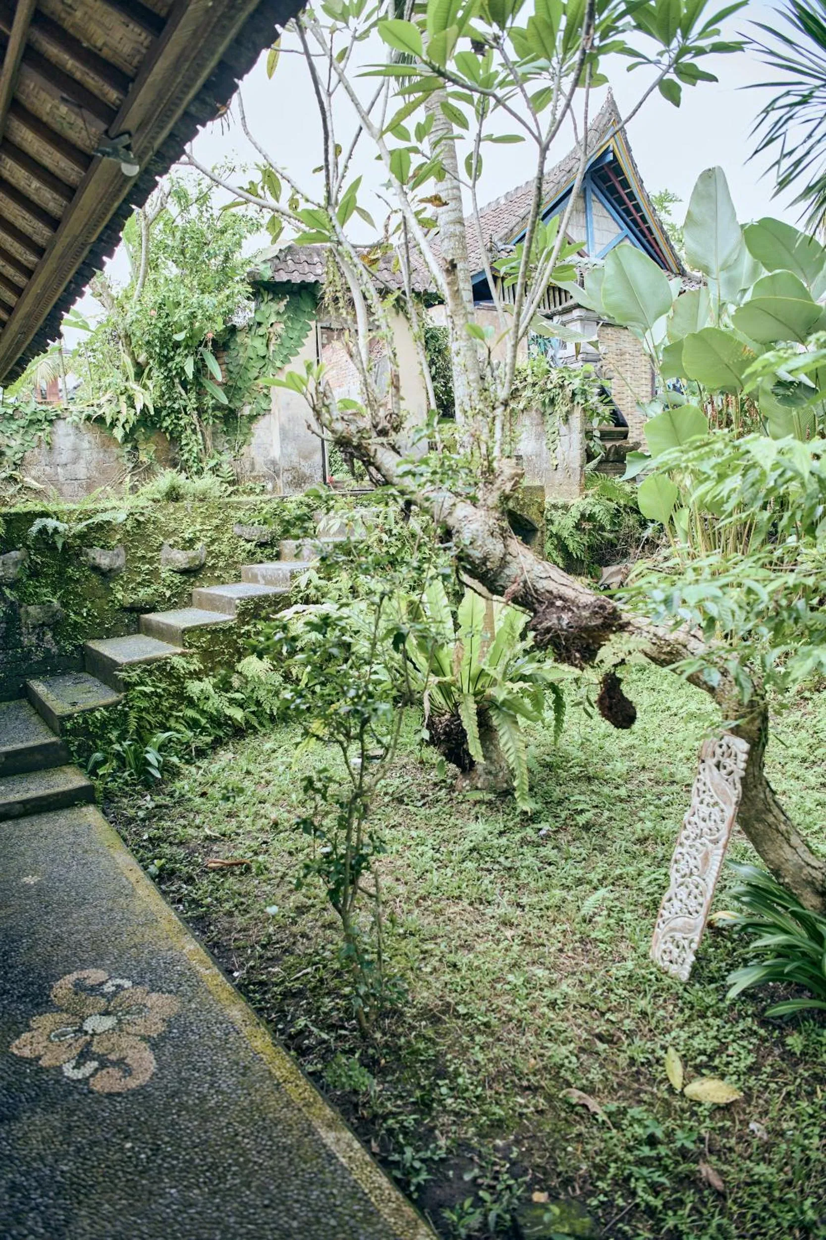 Natural landscape in Lembah Sentosa