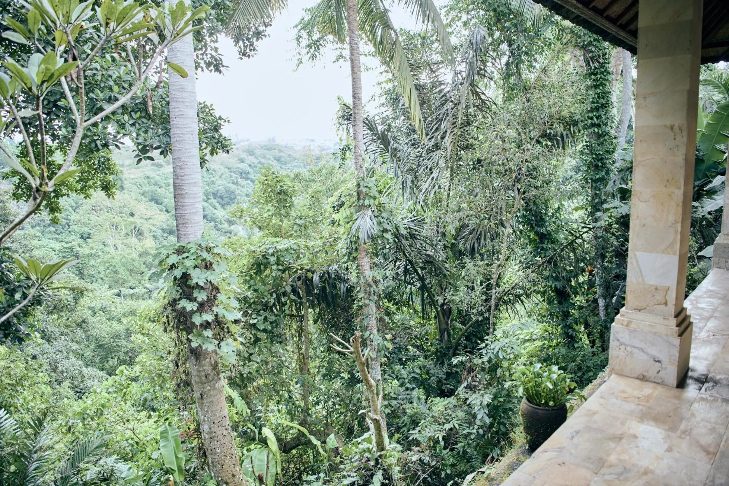 Day in Lembah Sentosa