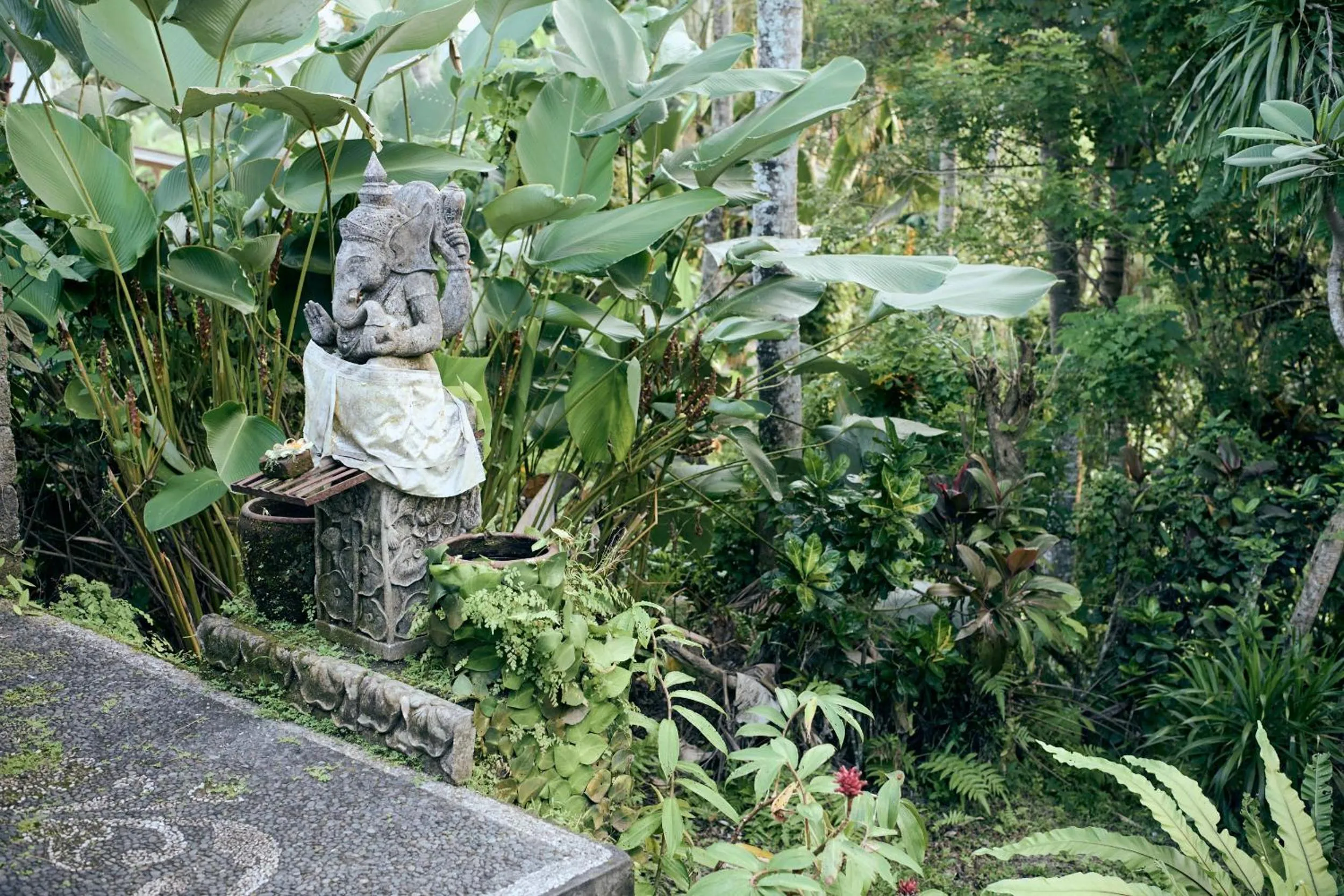 Natural landscape in Lembah Sentosa